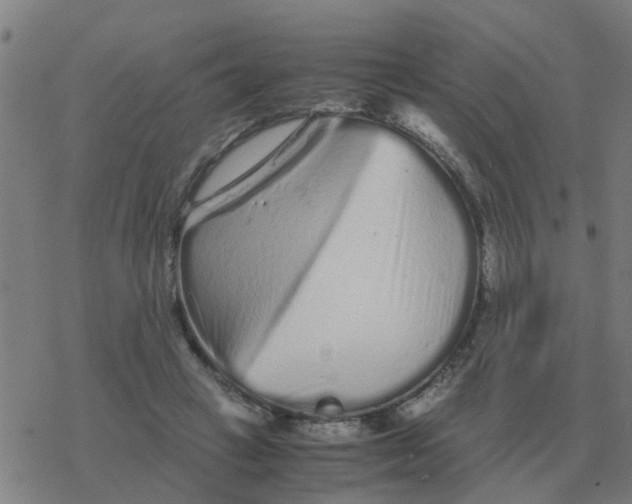 X0000077390449200611101758