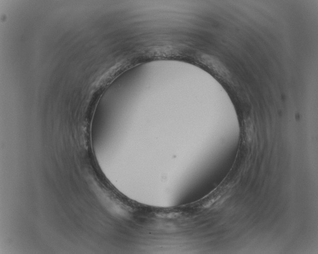 X0000077390450200611101758