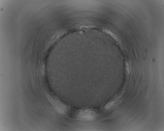 X0000077390451200611101758