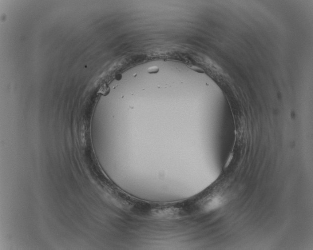 X0000077390452200611101758