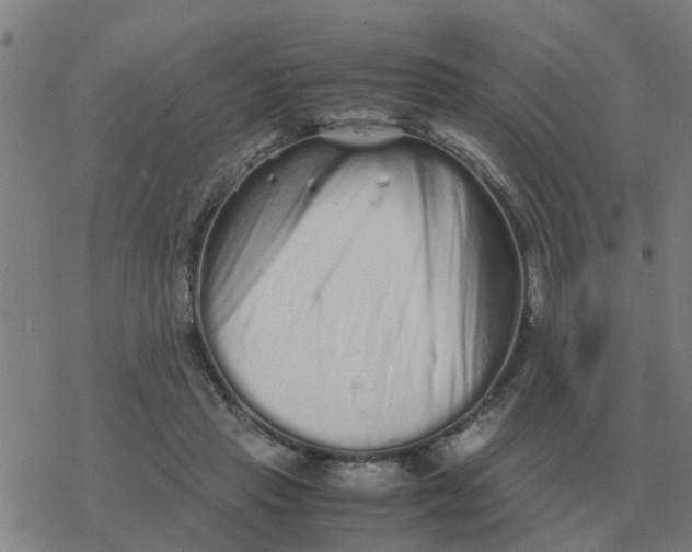 X0000077390453200611101758