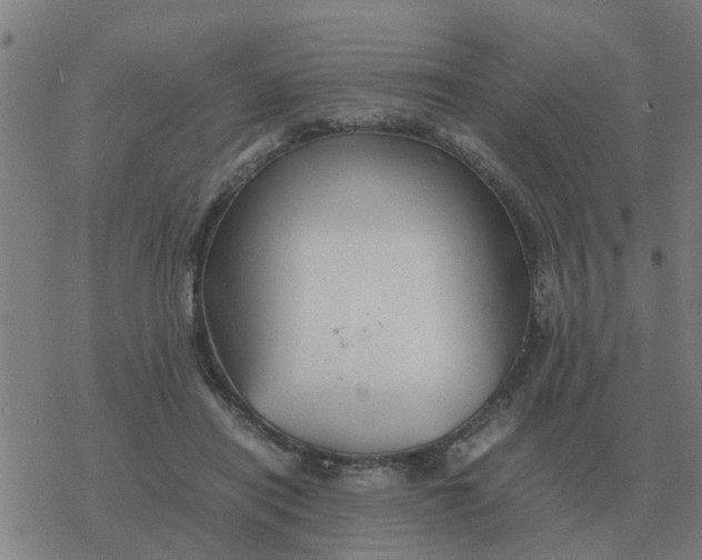 X0000077390454200611101758