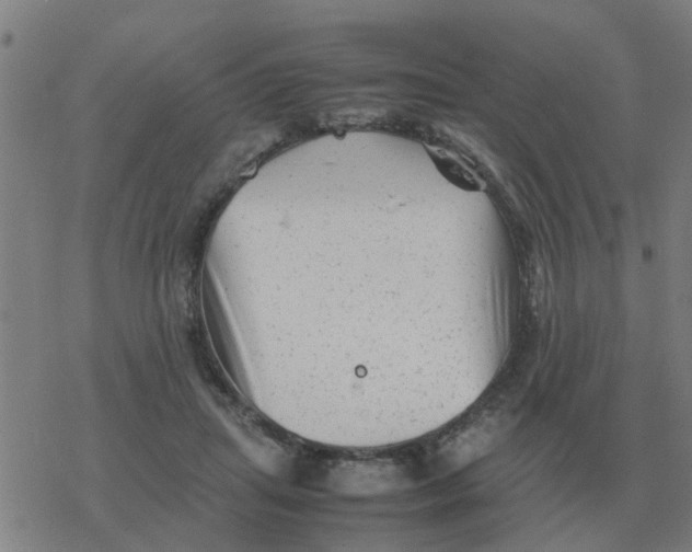 X0000077390455200611101758