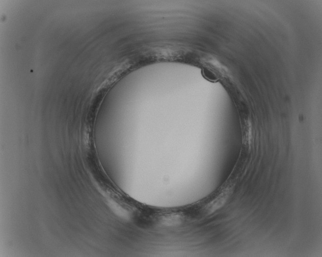 X0000077390456200611101759