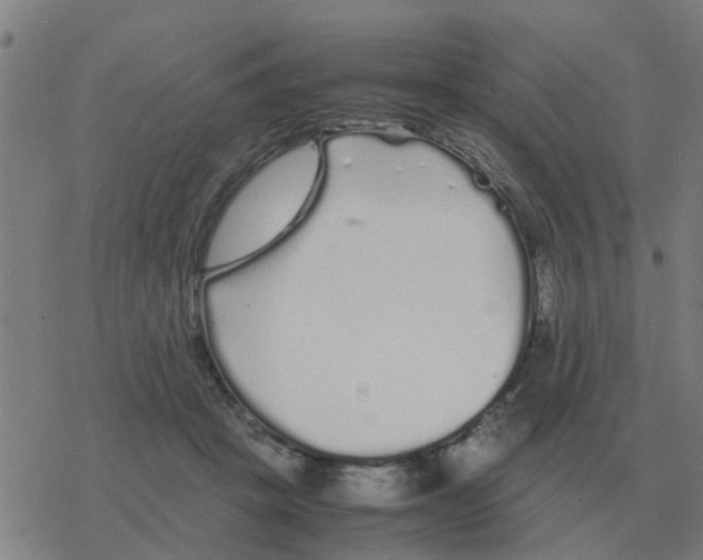 X0000077390457200611101759