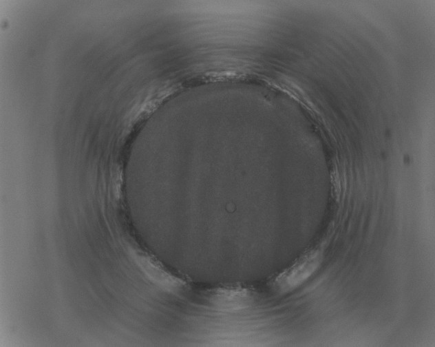 X0000077390458200611101759