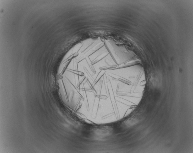 X0000077390459200611101759