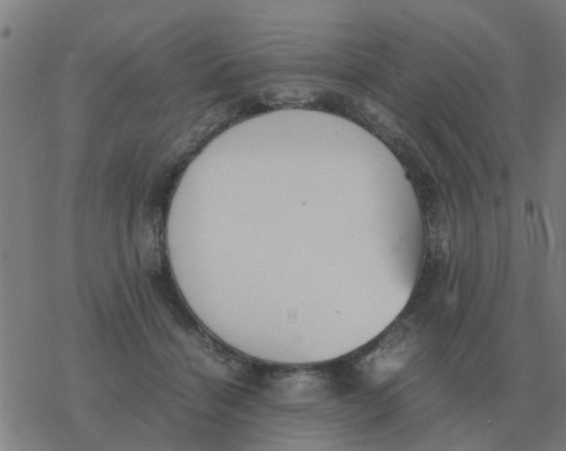 X0000077390460200611101759