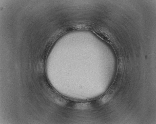 X0000077390461200611101759