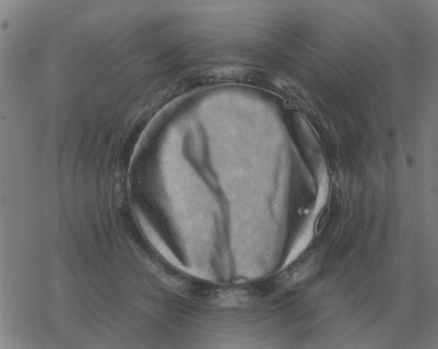 X0000077390462200611101759