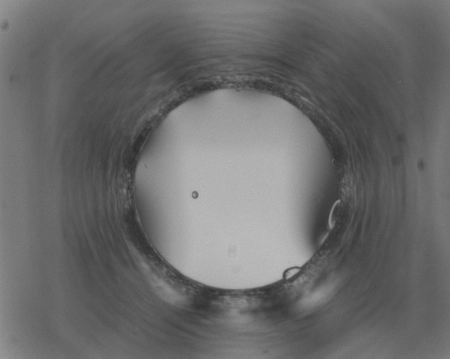 X0000077390464200611101759