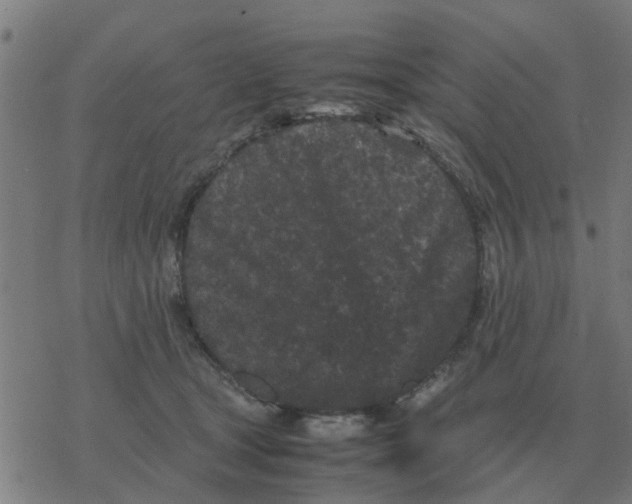 X0000077390465200611101759