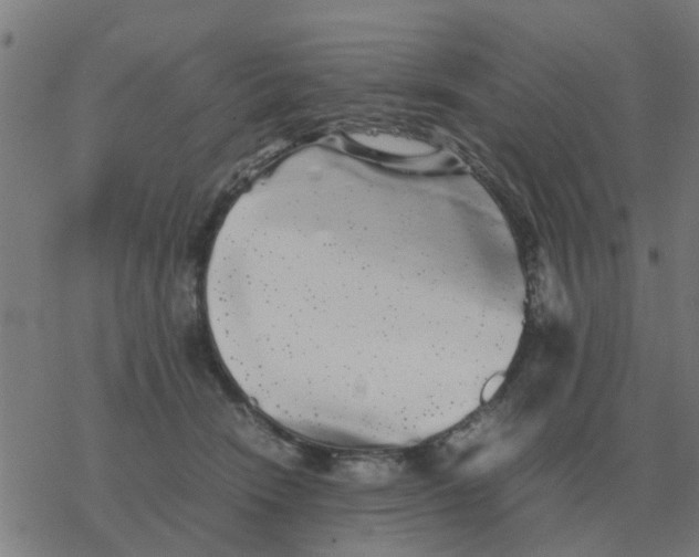 X0000077390466200611101759