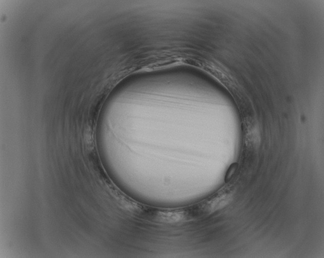 X0000077390469200611101759