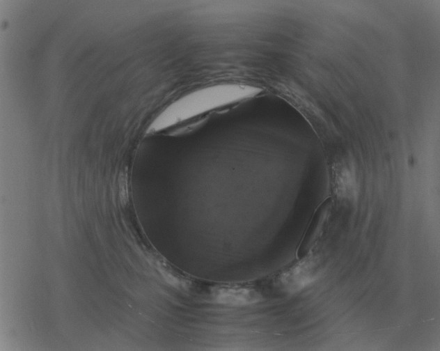 X0000077390471200611101759