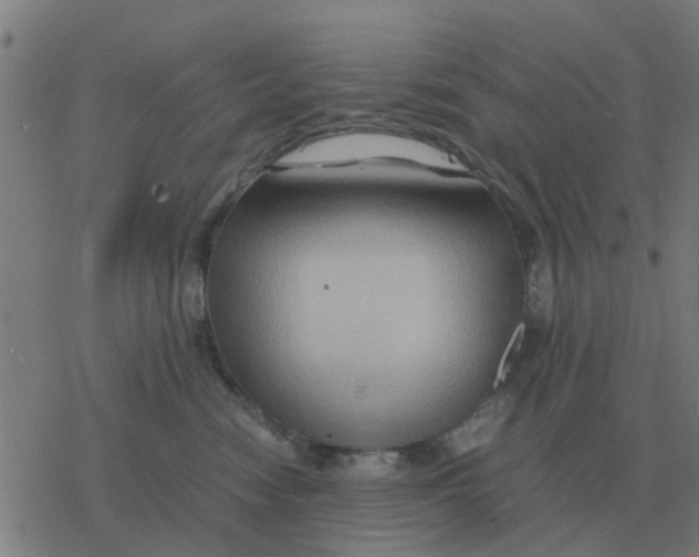 X0000077390474200611101759