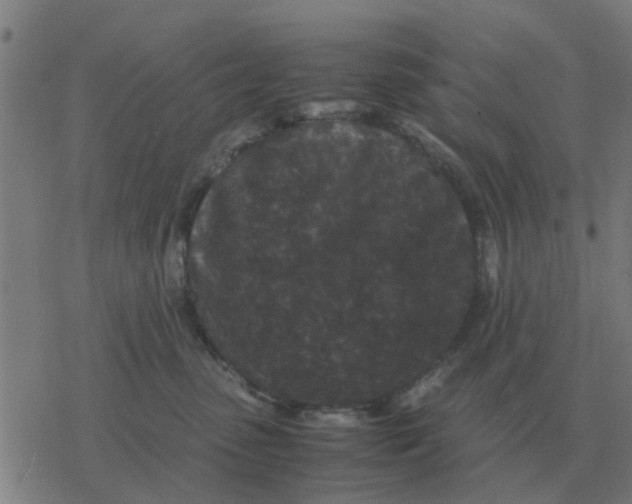 X0000077390475200611101759