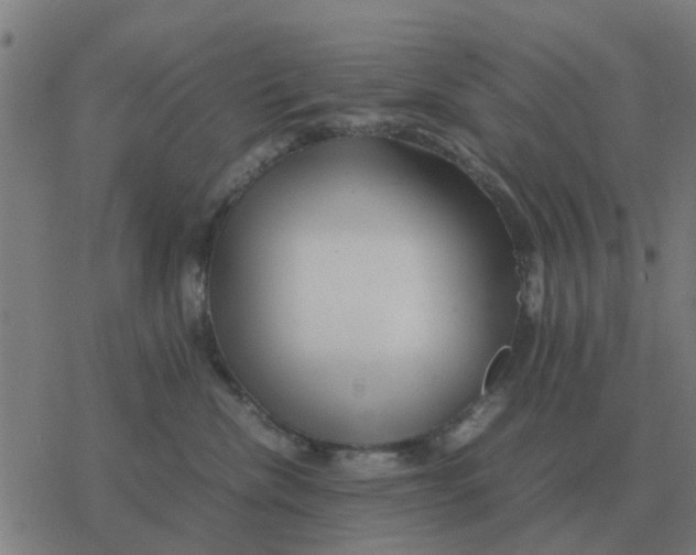 X0000077390476200611101759