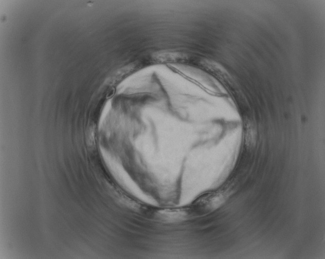 X0000077390477200611101759