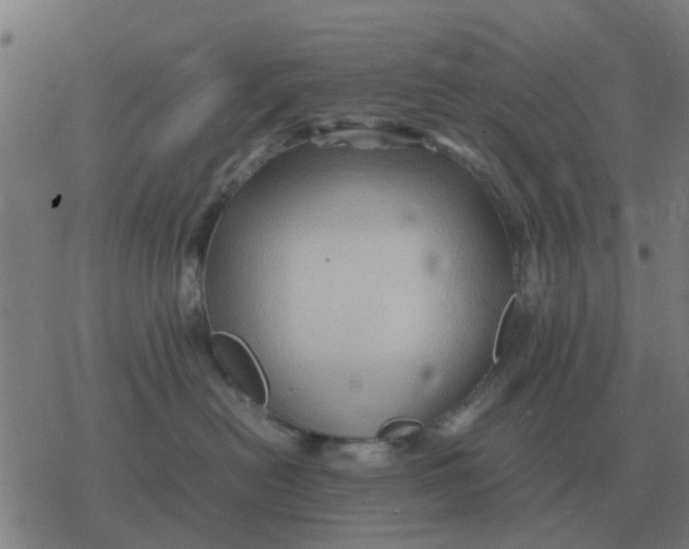 X0000077390478200611101759