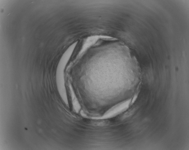 X0000077390479200611101759