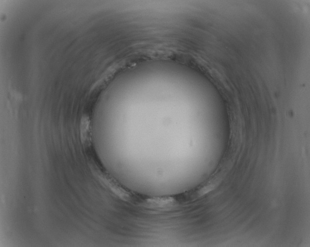 X0000077390480200611101759