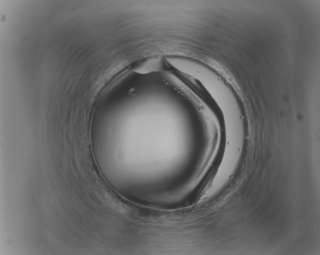 X0000077390481200611101758