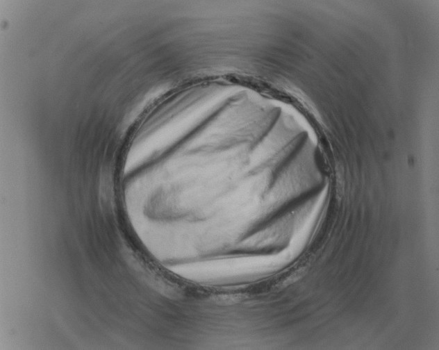 X0000077390482200611101758