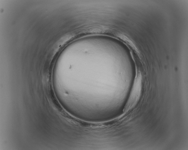 X0000077390483200611101758