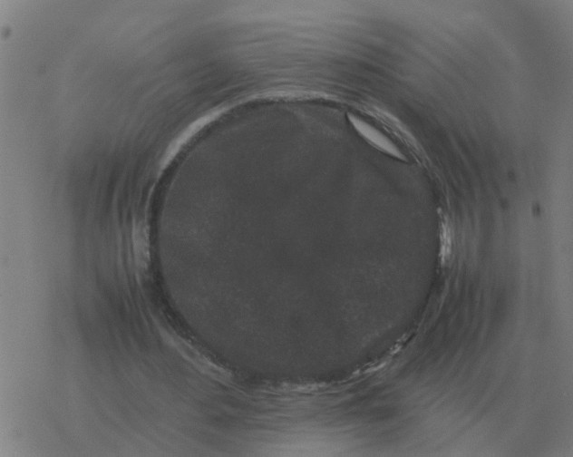 X0000077390484200611101758