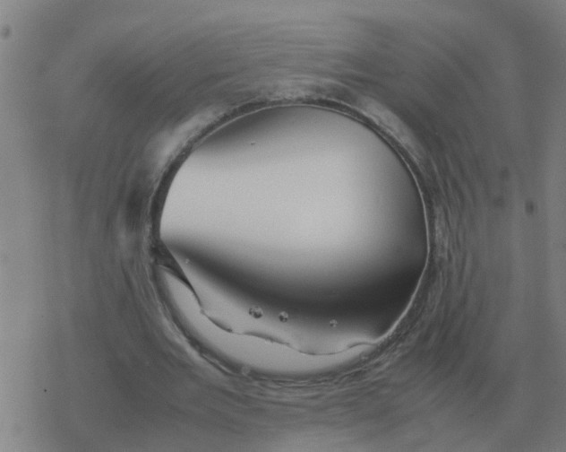 X0000077390485200611101758