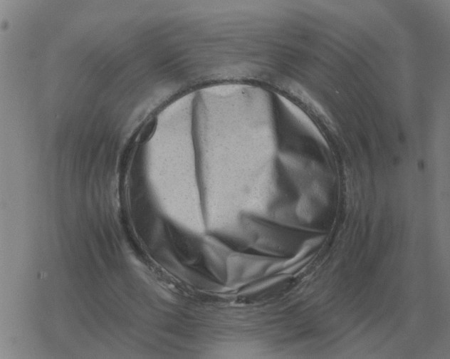 X0000077390486200611101758