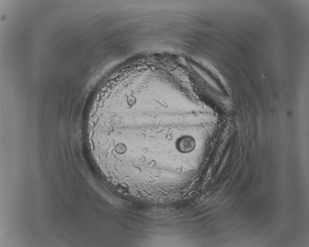 X0000077390487200611101758