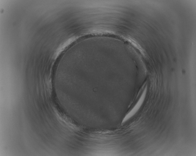 X0000077390488200611101758