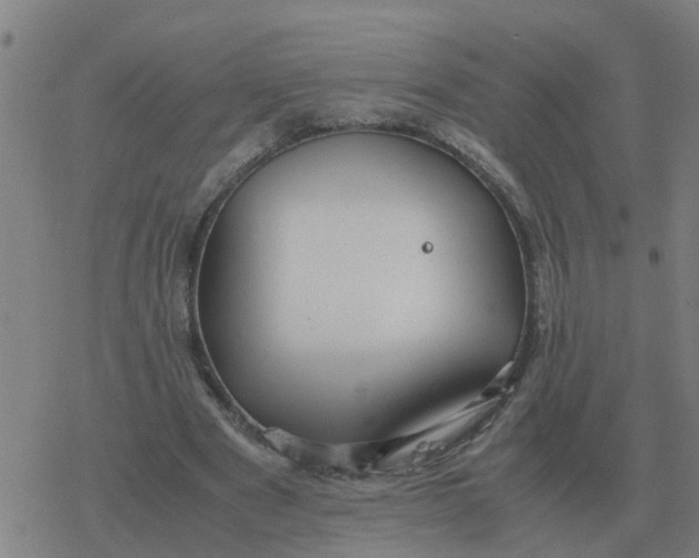 X0000077390489200611101758