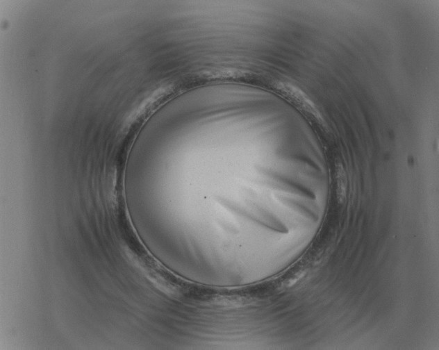 X0000077390490200611101758