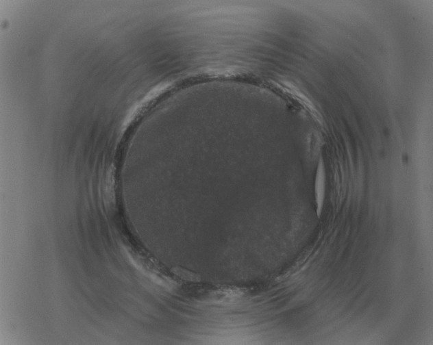 X0000077390492200611101758