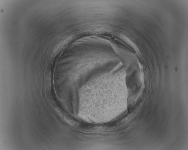 X0000077390493200611101758