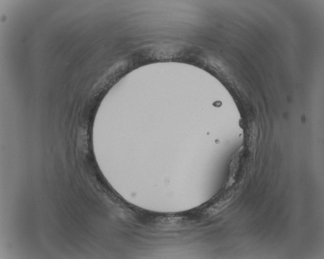 X0000077390497200611101758