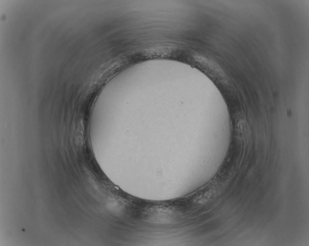 X0000077390498200611101758