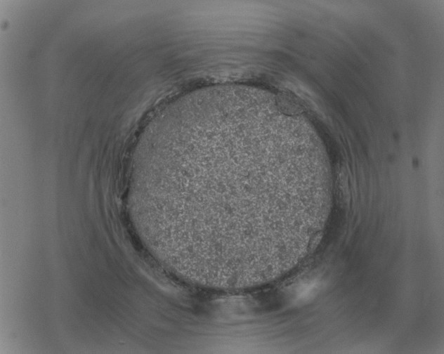 X0000077390499200611101758