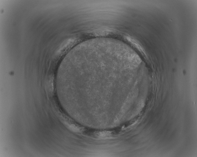 X0000077390501200611101758