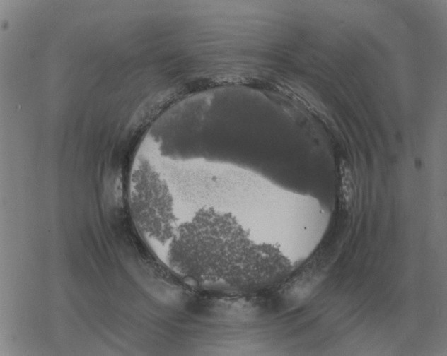 X0000077390502200611101758