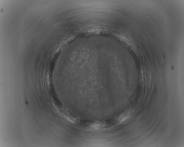 X0000077390504200611101758