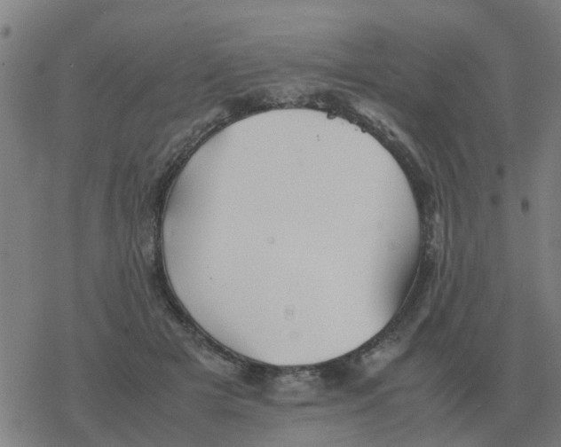 X0000077390505200611101758