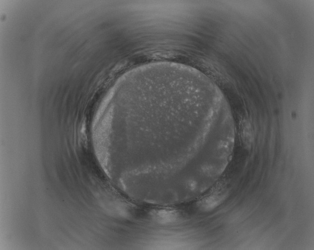 X0000077390506200611101758