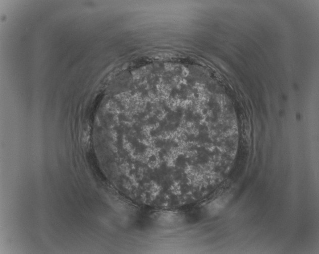 X0000077390507200611101758