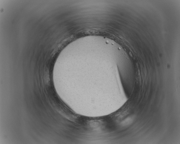 X0000077390508200611101758