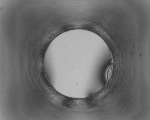 X0000077390509200611101758