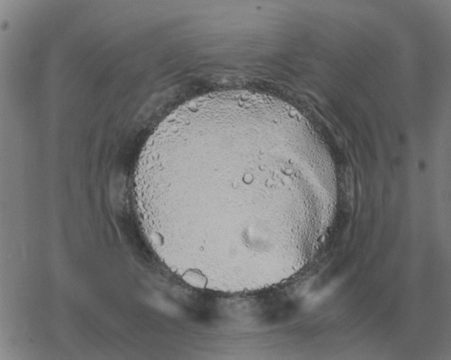 X0000077390511200611101758